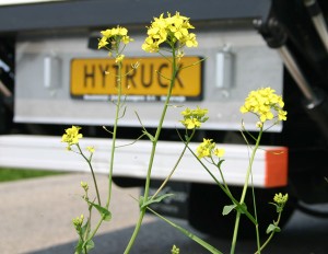 hytruck-proeftuinen